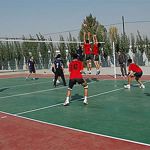 其它排球場(chǎng) Volleyball court